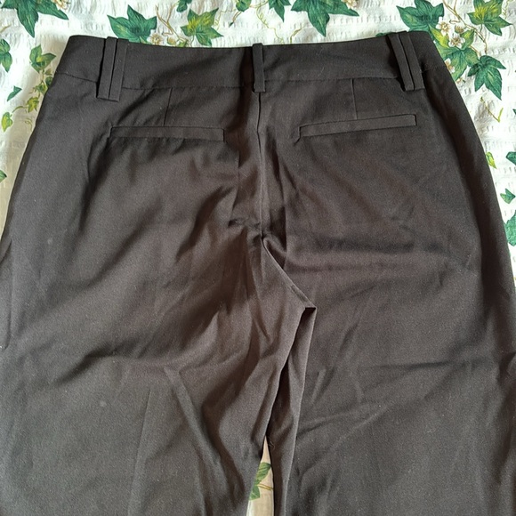 ANN TAYLOR LOFT PETITES Bootcut Trousers - Picture 5 of 6